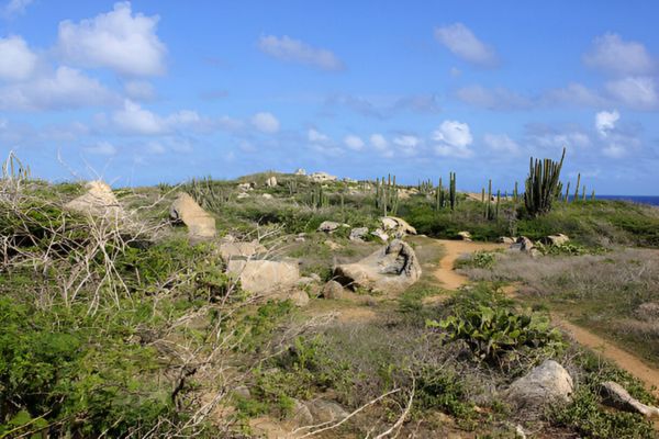 Eco Tours Off The Beaten Path_ Discover Aruba’s Wild Side Arikok National Park Aruba